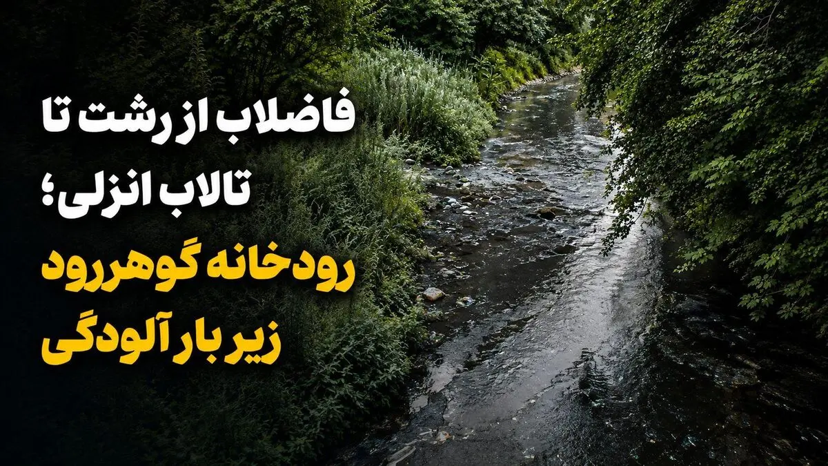 زنجیره‌ی آلودگی از رشت تا انزلی؛ دو دهه انتظار برای تصفیه‌ی فاضلاب