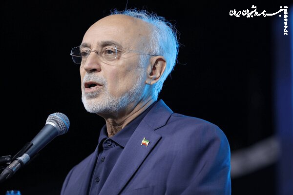 صالحی: الموت باید از سایه یک قلعه تاریخی خارج شود