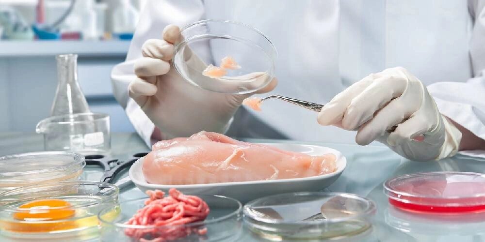 نقش حیاتی نمونه‌برداری صحیح در تضمین ایمنی مواد غذایی