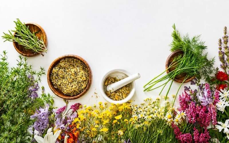 رایحه‌های گیاهی؛ سپری برای حافظه و ذهن