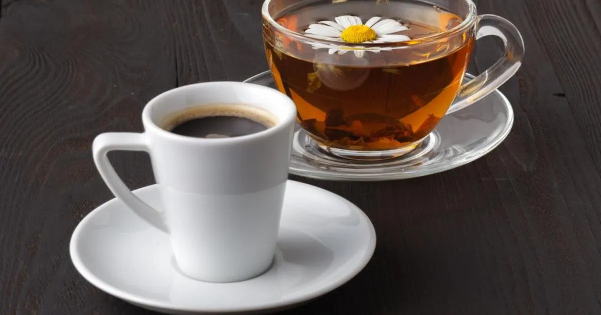 تأثیر متضاد چای و قهوه بر تراکم استخوان زنان
