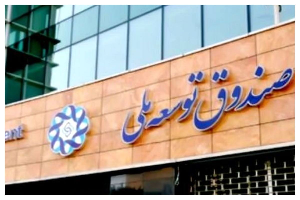 صندوق توسعه ملی از 'مانا' به عنوان راهکار مدیریت ریسک تورمی دارایی‌ها خبر داد