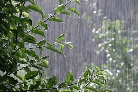 هشدار درباره بازگشت ال‌نینو؛ از سیلاب‌های ناگهانی تا خشکسالی شدید در ایران