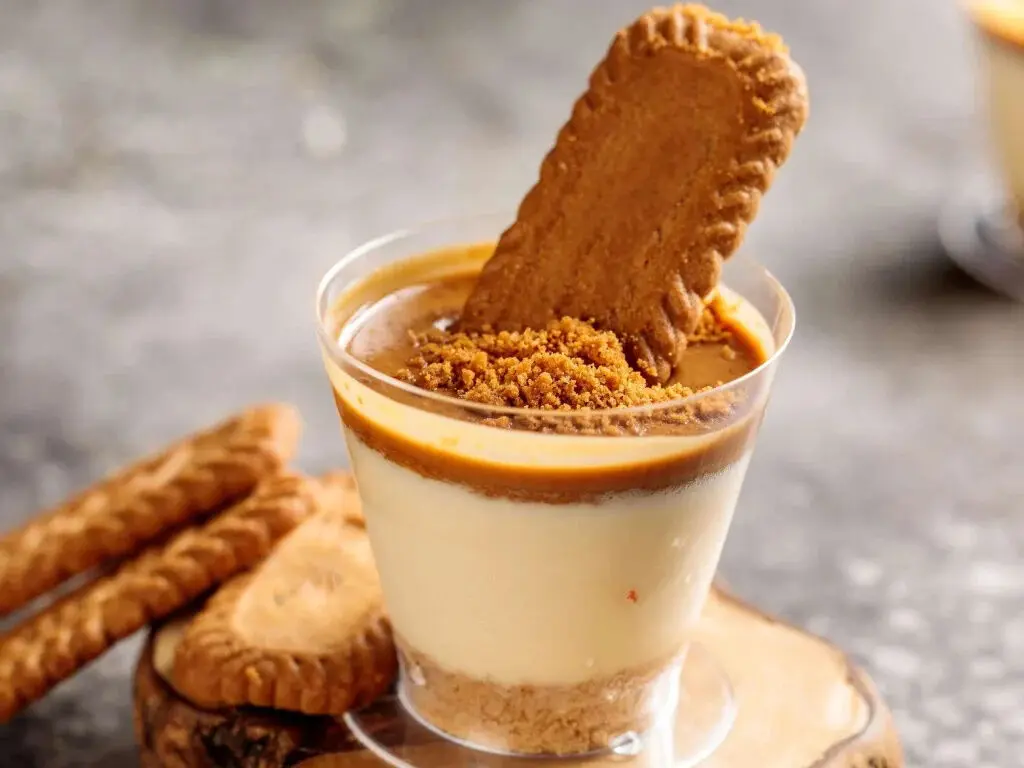طرز تهیه چیزکیک ژاپنی با بیسکوییت لوتوس؛ دسری سریع و مدرن
