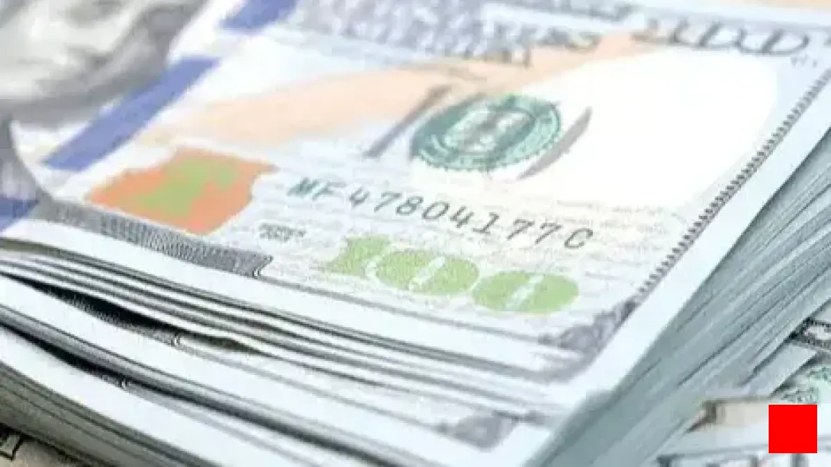 ۲۴ مرداد ۱۴۰۲: دلایل صعود قیمت دلار آمریکا و یورو در بازار ارز چیست؟